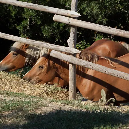別荘 Belvilla By Oyo Due Laghi Paciano